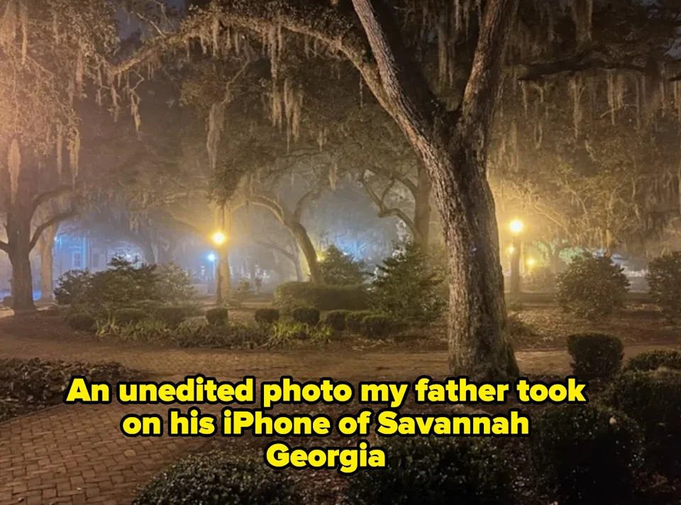 Misty scene with large trees and hanging moss, softly illuminated by glowing street lamps, creating a serene and atmospheric setting. Caption: "An unedited photo my father took on his iPhone of Savannah Georgia"