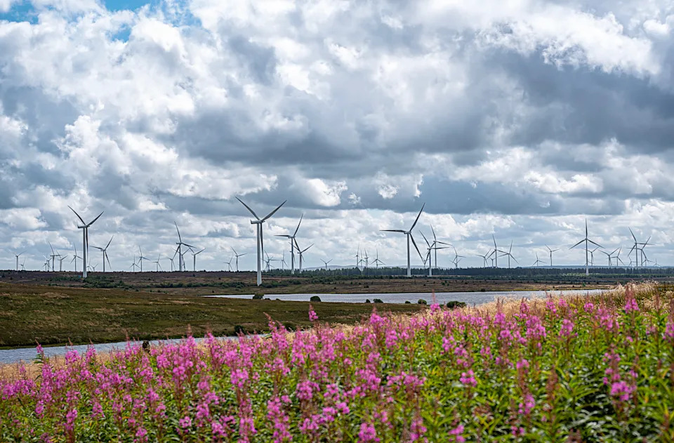 Wind turbines spin on a hill, surrounded by wildflowers under a cloudy sky