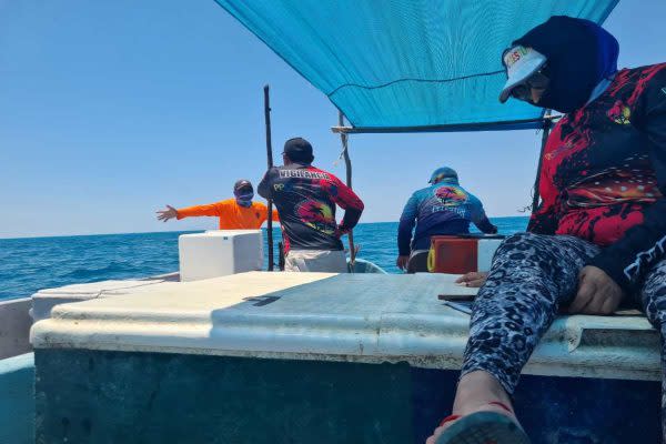Guardianas del mar: mujeres yucatecas protegen lo que el Estado mexicano olvidó