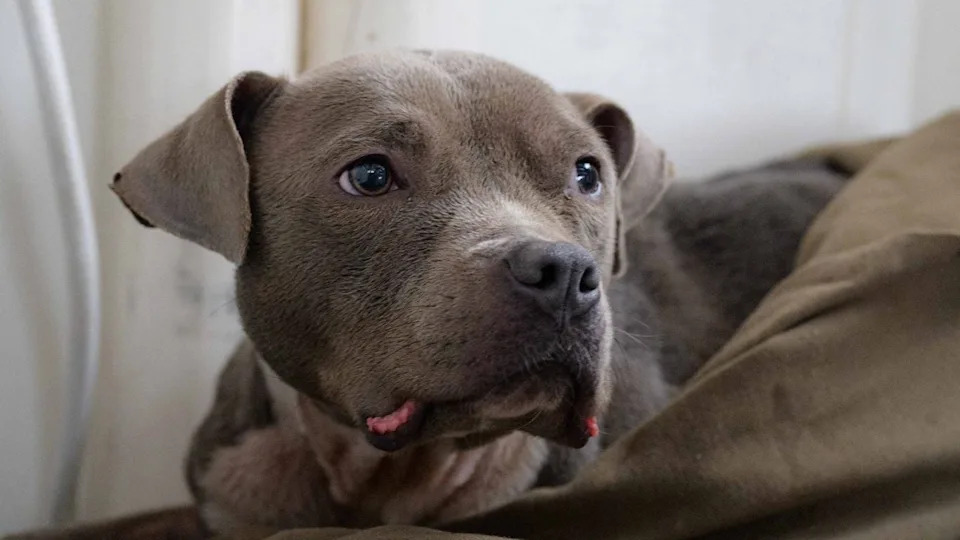 River, after she was rescued.