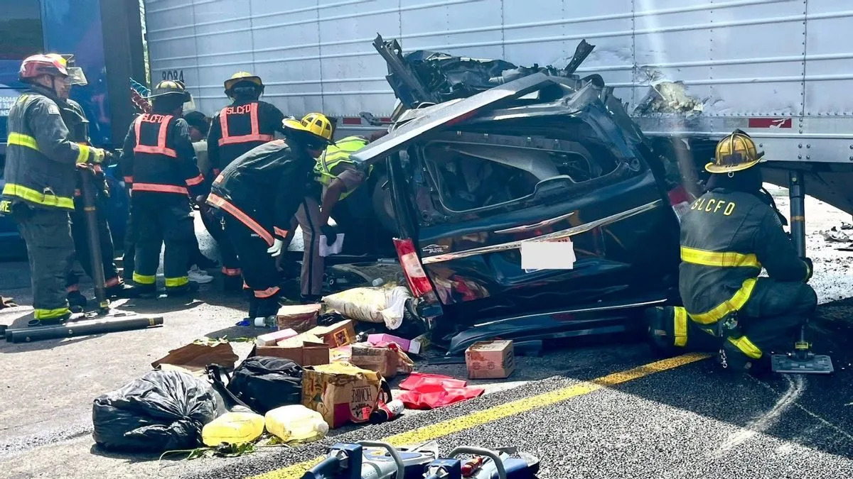 Examining authenticity of petition seeking clemency for truck driver in deadly Florida U-turn crash