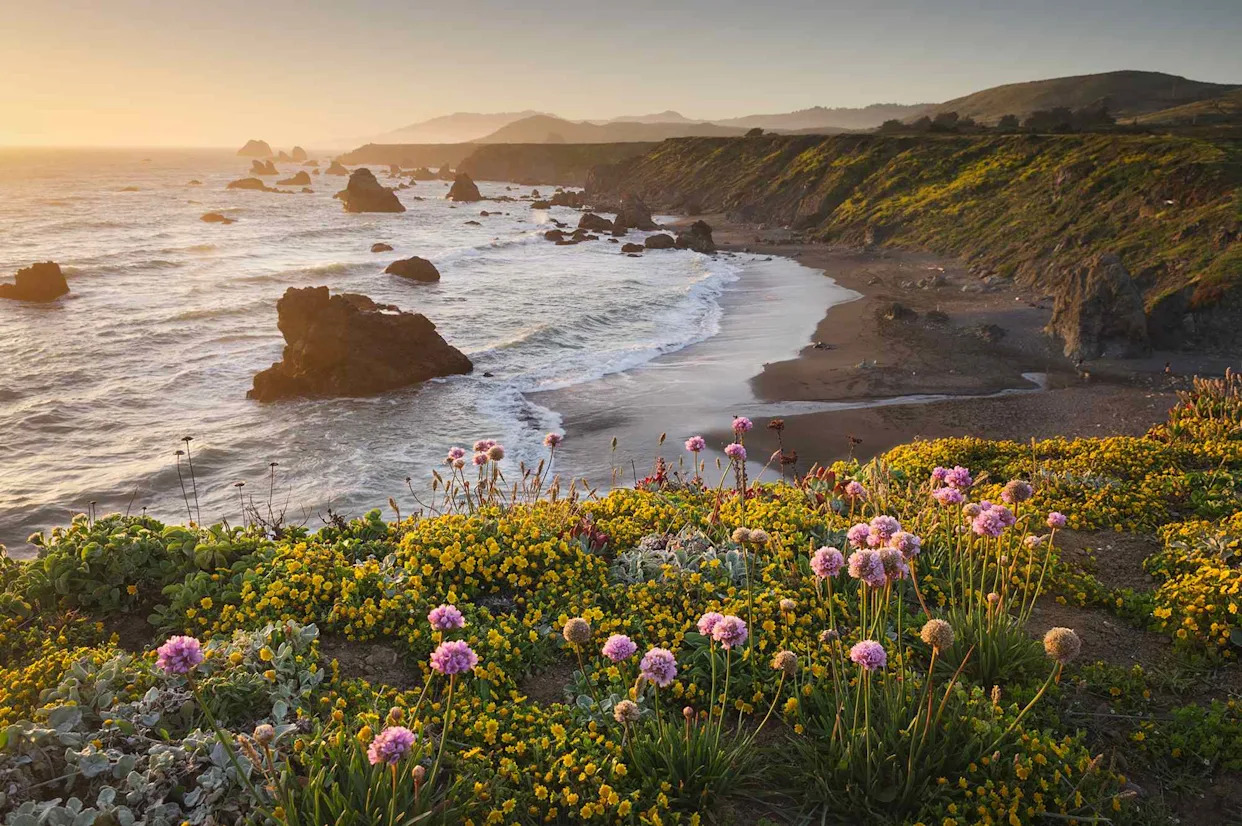 Alaska Airlines Just Announced 7 New Routes Across the West Coast to Ski Towns, Wine Country, and More Popular Destinations