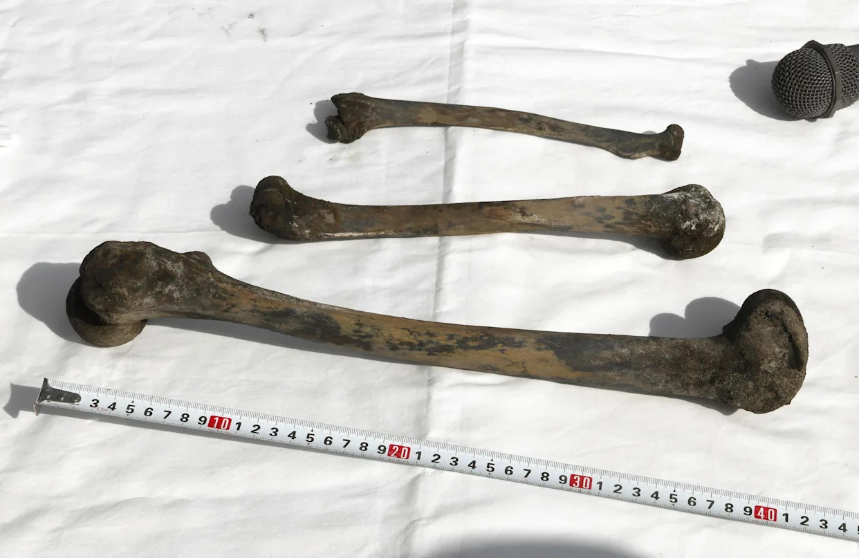 Bones found at site in Japan where forced laborers died in WWII