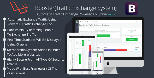 Booster Traffic Exchange System
