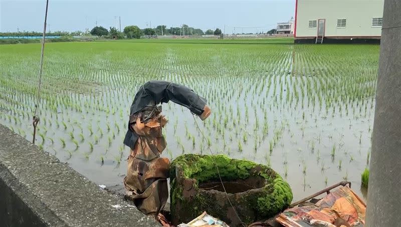青農疑似為了省錢,馬達上沒有安裝漏電斷路器,導致漏電時無法及時切斷電源。(圖/翻攝畫面)