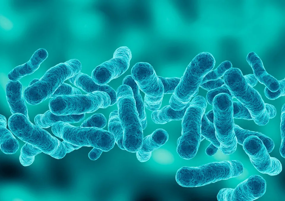 A Legionnaire’s disease outbreak in Harlem has sickened 58 people and killed two New Yorkers. AGPhotography – stock.adobe.com