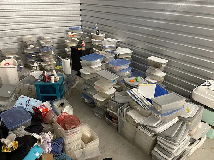 Florida man who abandoned 111 geckos in storage unit pleads guilty to animal cruelty