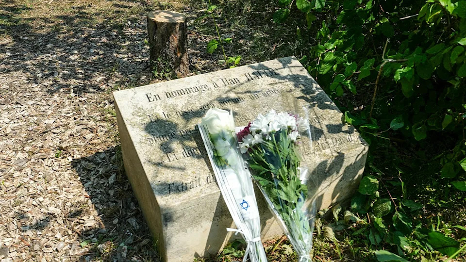 Flowers placed at a near a memorial tree that was cut down
