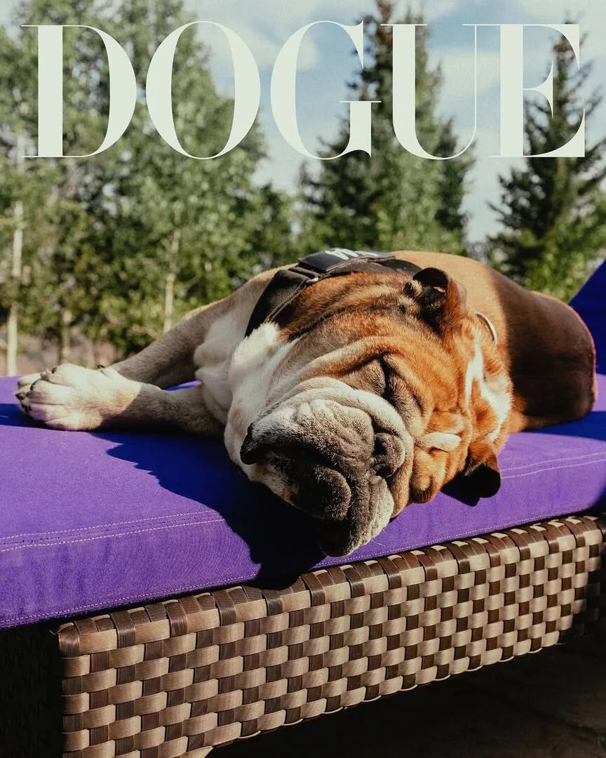Roscoe, el perro de Hamilton, fue tapa de la revista Vogue