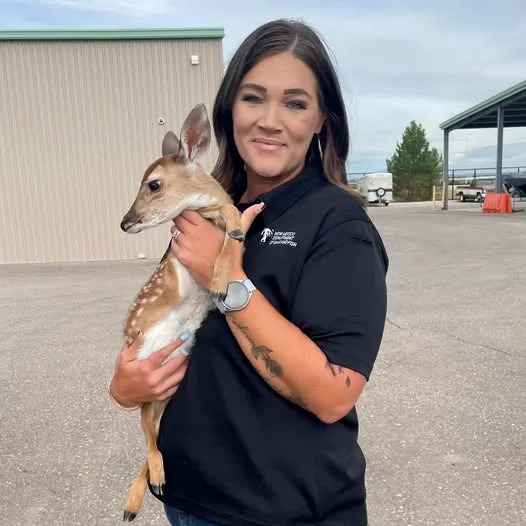 New Mexico Department of Game and Fish removes fawn from Roswell bathtub