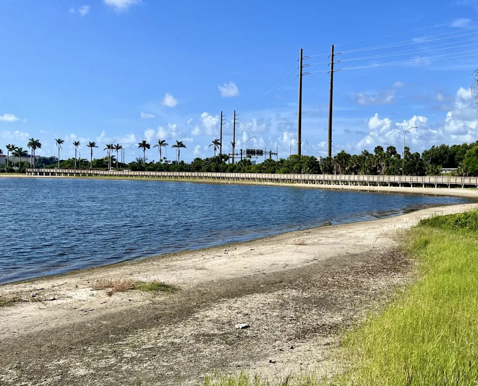 In this June photo, drought-caused lower water levels can be seen in West Palm Beach's Clear Lake, which serves as West Palm Beach's water source. City officials have tapped emergency groundwater wells to supplement the supply of water.