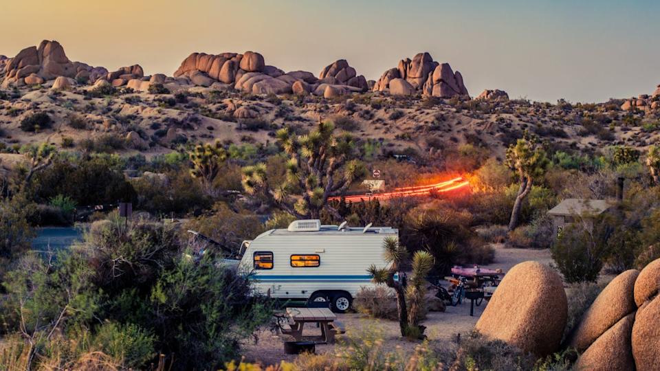 Joshua Tree Scenic Drives, Joshua Tree National Park