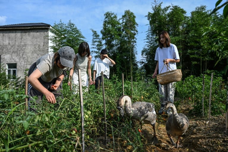 Ni hombres, ni estrés: comunidades 100% femeninas florecen en China