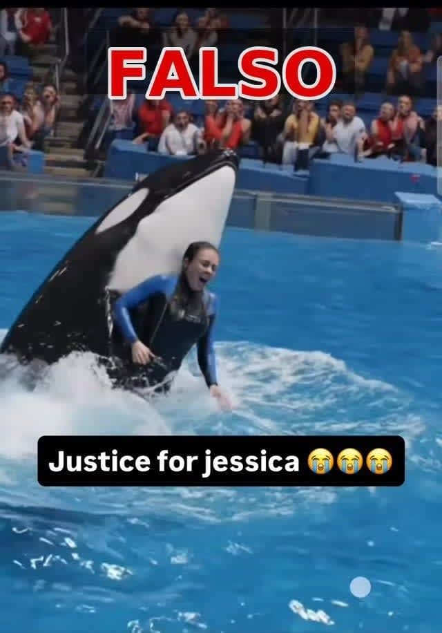 ¿Es real la historia de Jessica Radcliffe? La verdad detrás del video viral de su supuesta muerte tras ataque de una orca