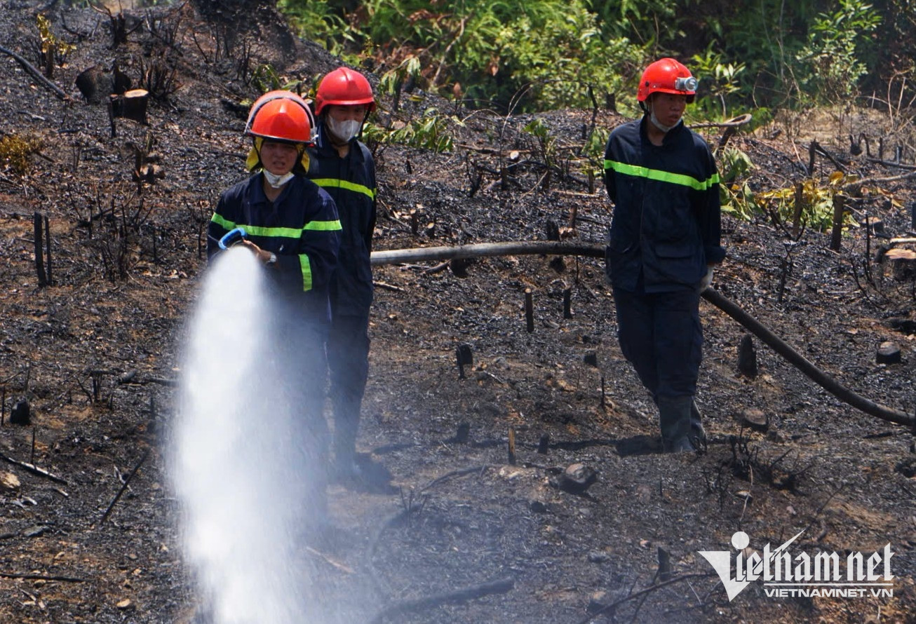 Cảnh sát đội nắng dập đám cháy sát trung tâm hỏa táng An Phước Viên Đà Nẵng