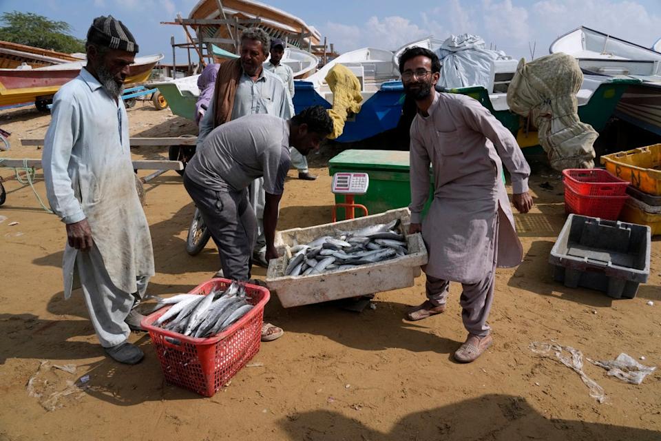 Pescadores pesan su captura en una báscula en la ciudad costera de Gwadar, en la provincia suroccidental de Baluchistán, Pakistán (Copyright 2025 The Associated Press. All rights reserved.)