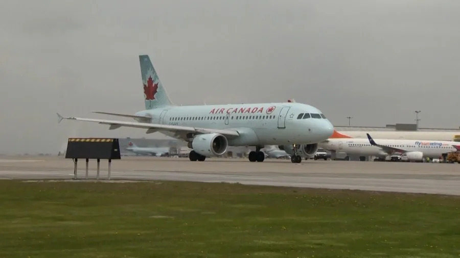 Buffalo family stranded in Sicily due to Air Canada strike