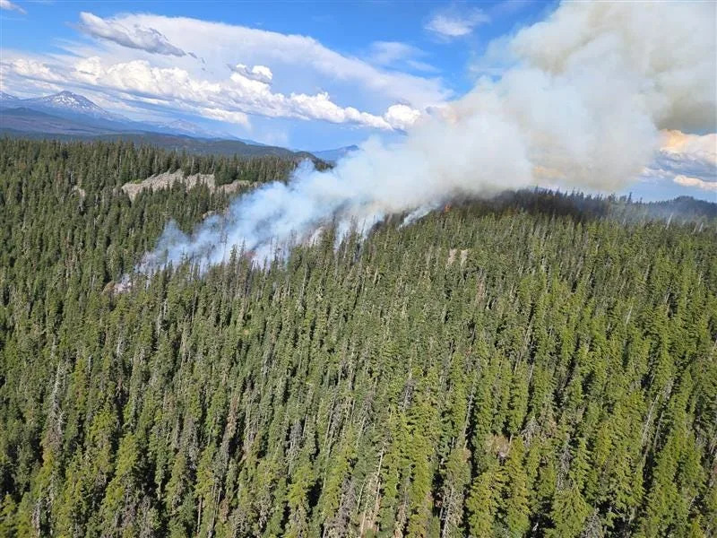 The Piper Lake Fire is burning in Lane County.