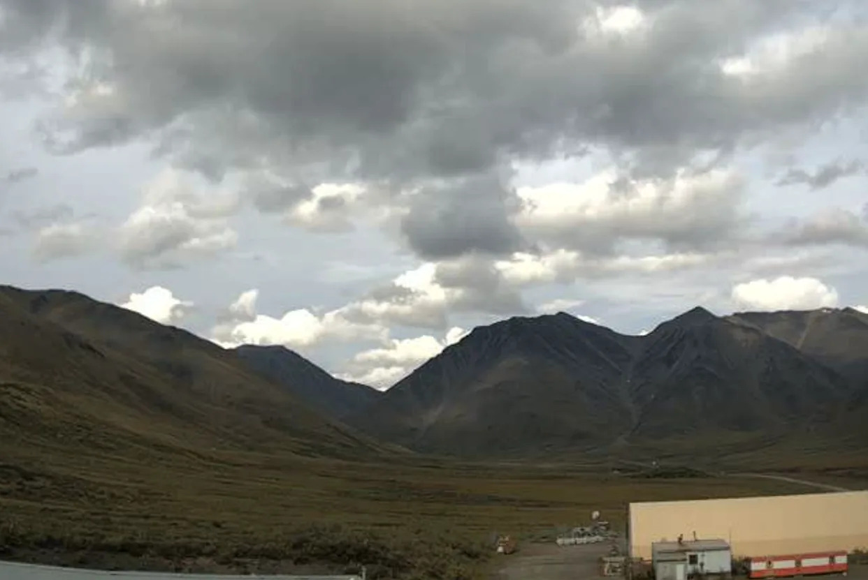 First signs of changing leaves spotted in Alaska as seasonal shift begins