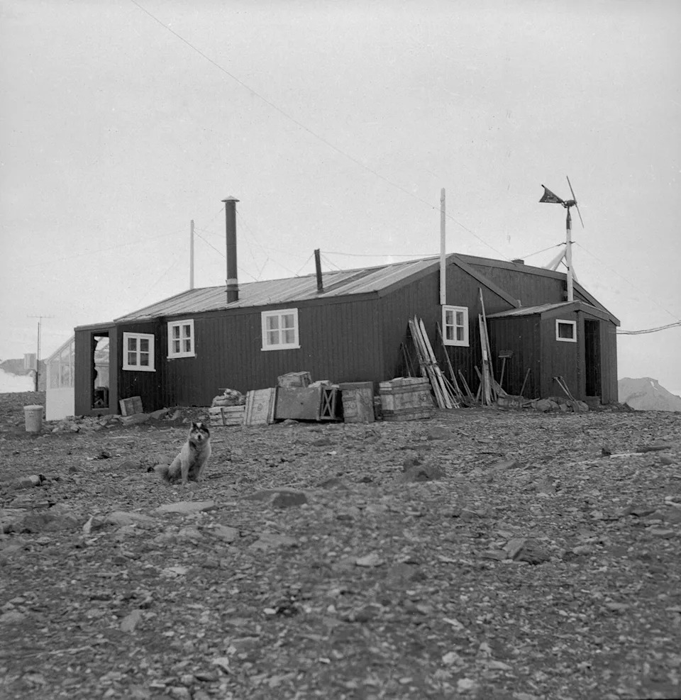 Roger Todd-White - PHOTO: Bell was working at Admiralty Bay Base on King George Island. 1951.