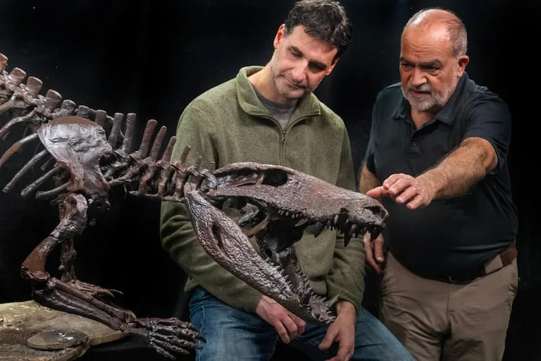 El dr Fernando Novas junto al técnico en paleontología Marcelo Isasi junto a un réplica original del cocodrilo descubierto en una estancia cercana a El Calafate.-