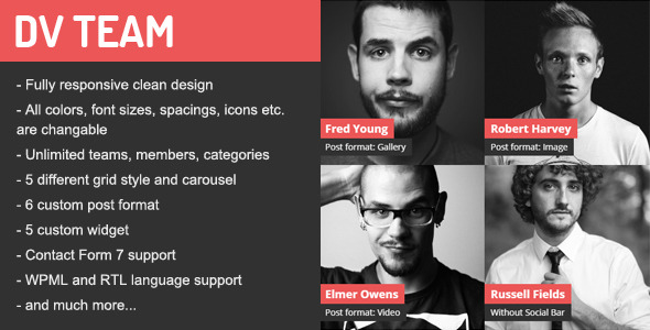 DV Team v1.6.1 - Responsive Team Showcase Wordpress Plugin