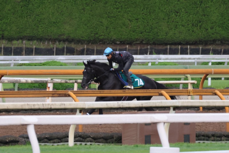 ベレシート＝2025年6月26日午前7時20分、井内利彰さん撮影