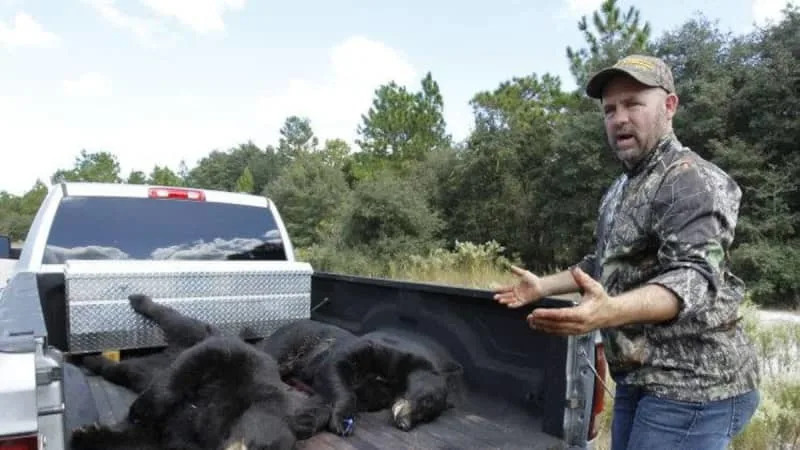 Florida’s wildlife agency approves first black bear hunt in a decade