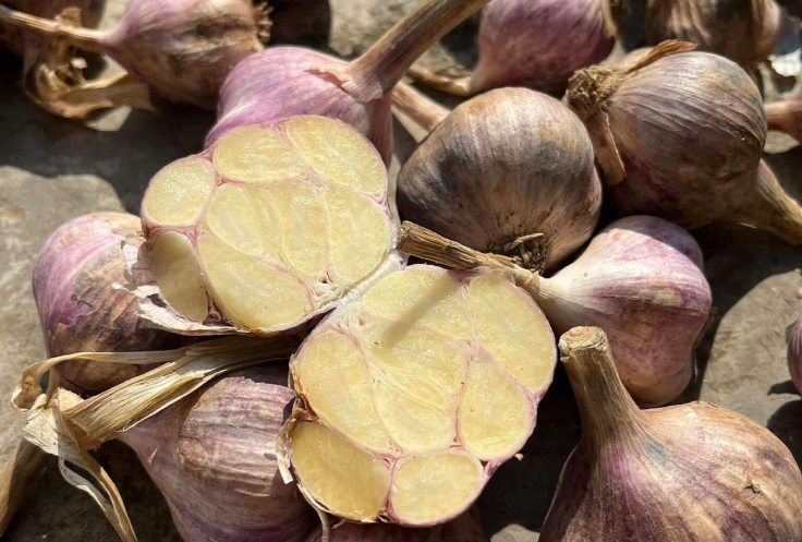 Loại gia vị ở góc bếp hỗ trợ hạ huyết áp, giảm mỡ máu