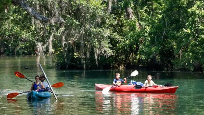Camp staff, public urge Florida agency to avoid selling Chassahowitzka campground