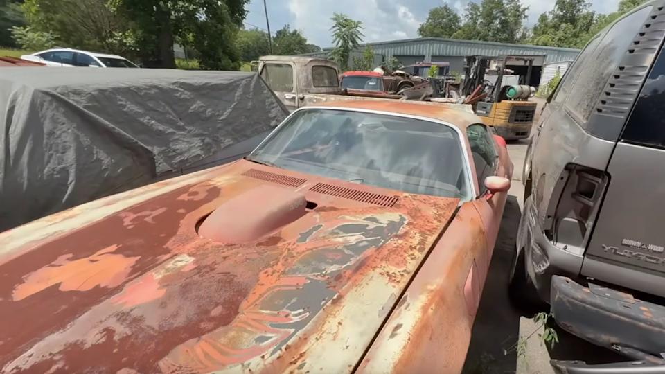 Act Fast: Junkyard Contains Cool Classic Cars For Sale