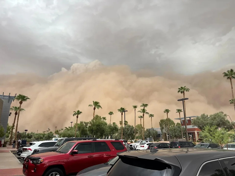 A massive dust storm approaches a parking lot with palm trees under a cloudy sky, creating a dramatic natural scene