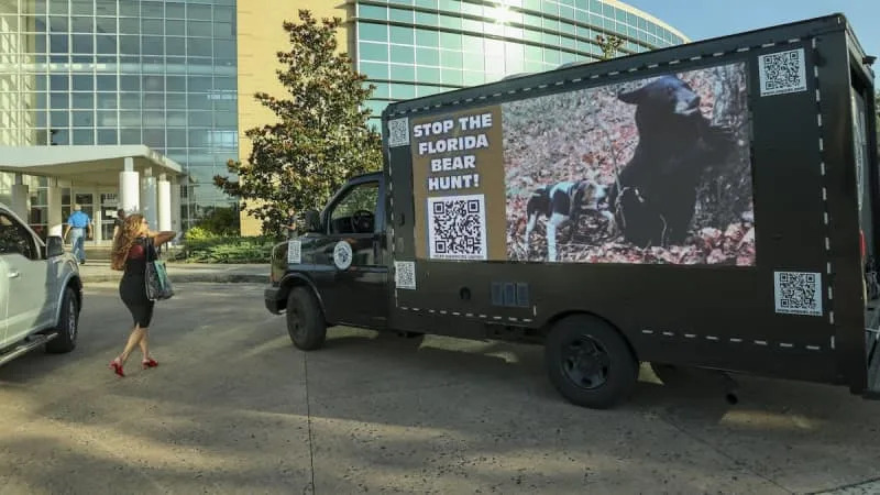 A truck displays signage by Bear Warriors United outside the public meeting of the Florida Fish and Wildlife Conservation Commission in May. In August, the commission voted in favor of allowing a bear hunt. ©Douglas R. Clifford