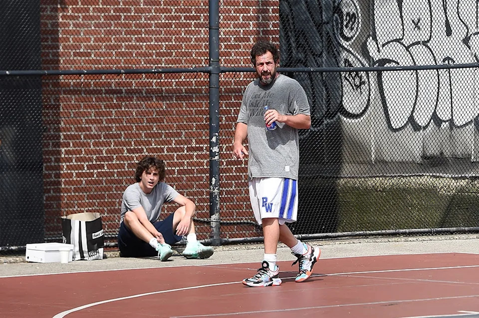 <p>Adam Sandler & Timoth&eacute;e Chalamet</p>