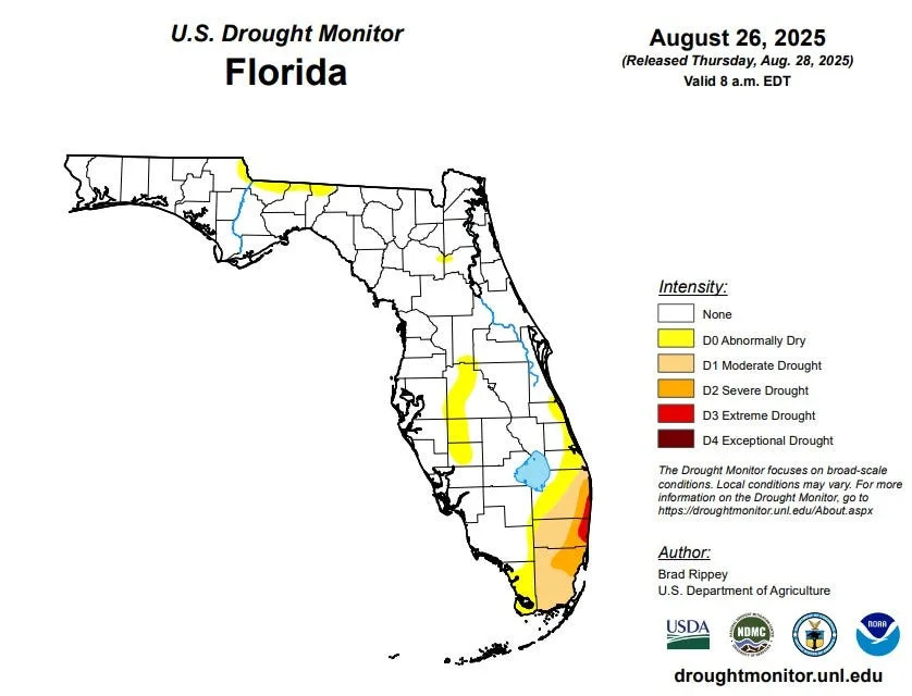 The U.S. Drought Monitor report released Aug. 28, 2025 shows that Palm Beach, Broward and Miami-Dade counties are the only in the state experiencing drought. The areas of yellow in the Treasure Coast and Central Florida signify abnormally dry conditions.