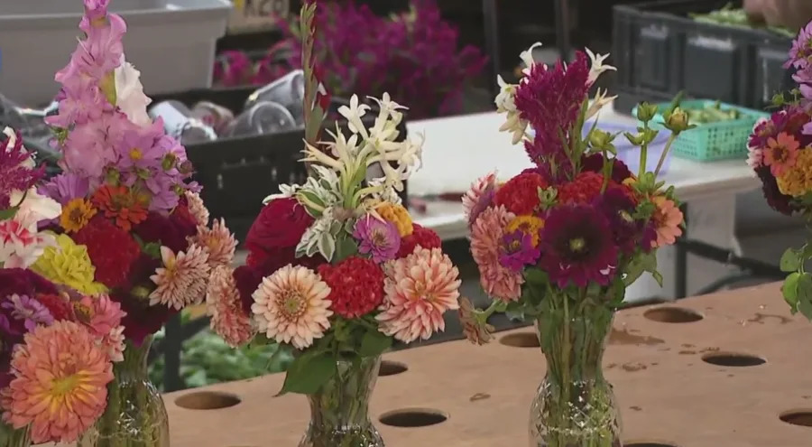 Vendors, visitors celebrate National Farmers Market Week at City Market in Kansas City