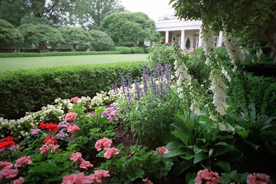 Lush garden with diverse blooming flowers and green hedges in front of a grand white-columned building in a park-like setting