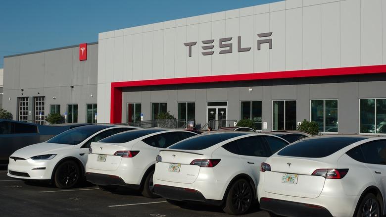 March 15, 2025. St. Petersburg, FL, USA. Tesla Dealership cars and signs. Late afternoon sun. Tesla Cybertruck and other vehicles.