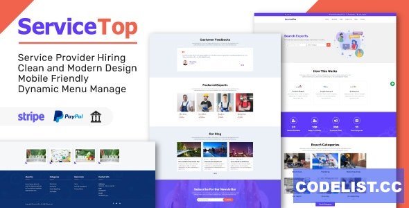 ServiceTop v1.0 - Professional Service Selling Marketplace