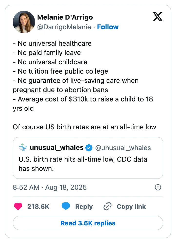 Summary of the image: A tweet lists U.S. issues like lack of universal healthcare, no paid family leave, and high child-raising costs, linking them to low birth rates