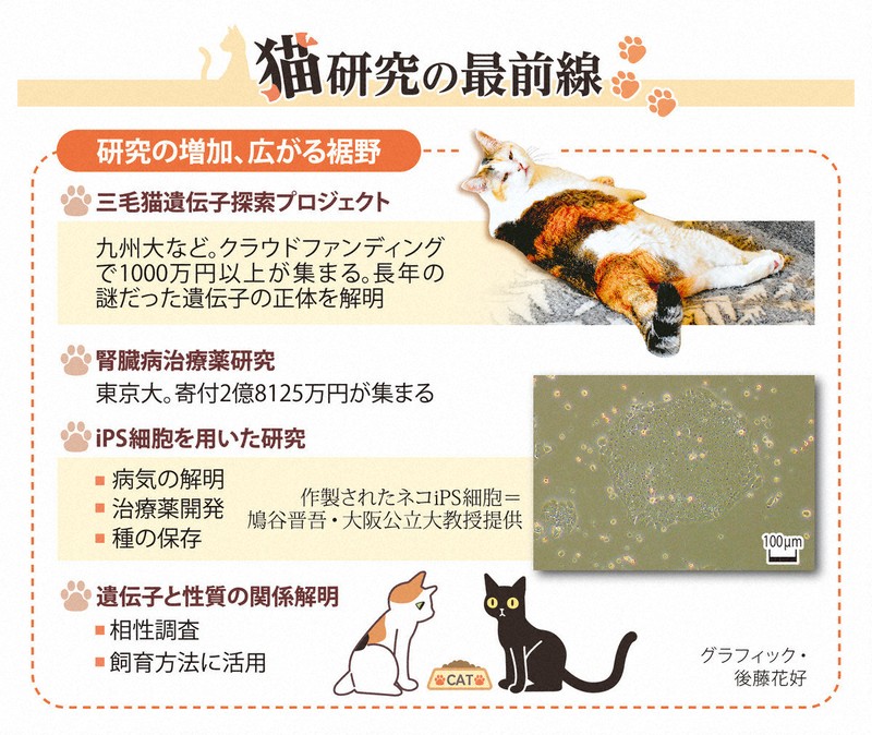 猫研究の最前線