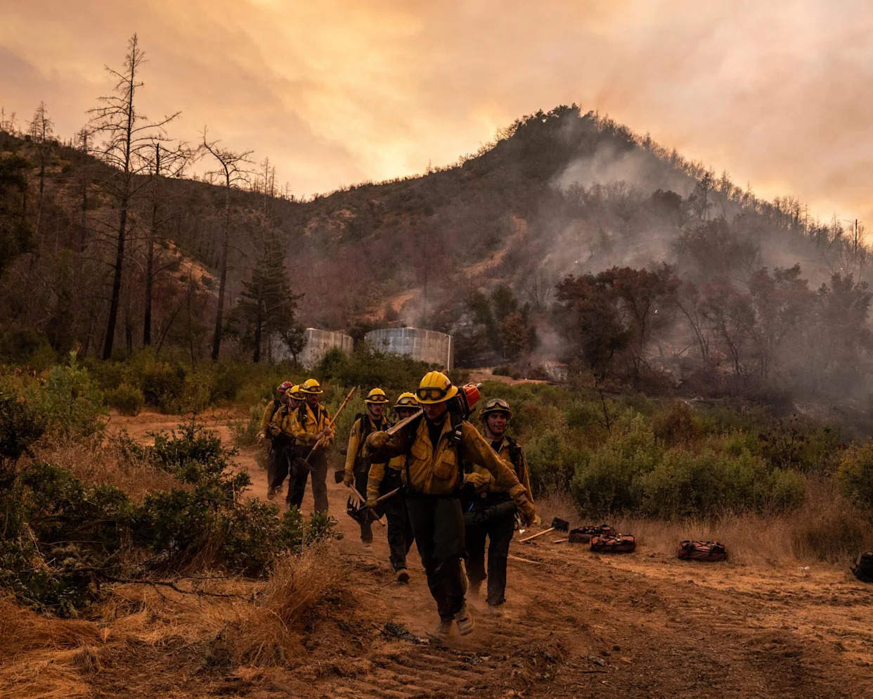 Wildfire explodes in California wine country as heatwave scorches US west