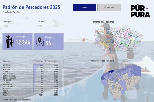 Guardianas del mar: mujeres yucatecas protegen lo que el Estado mexicano olvidó