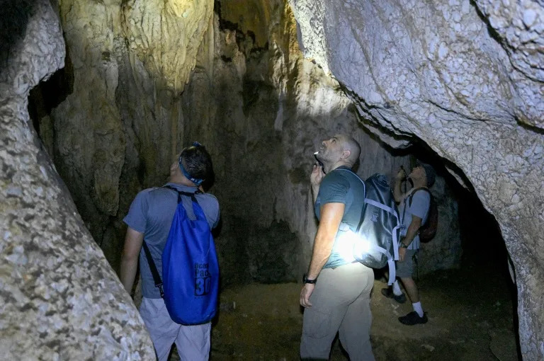 New species teem in Cambodia's threatened karst
