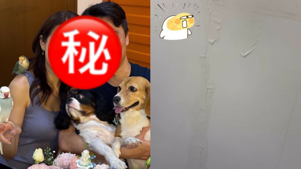 前港姐冠軍豪宅漏水牆身現裂縫　戀富貴男友進駐九肚山三千呎大屋
