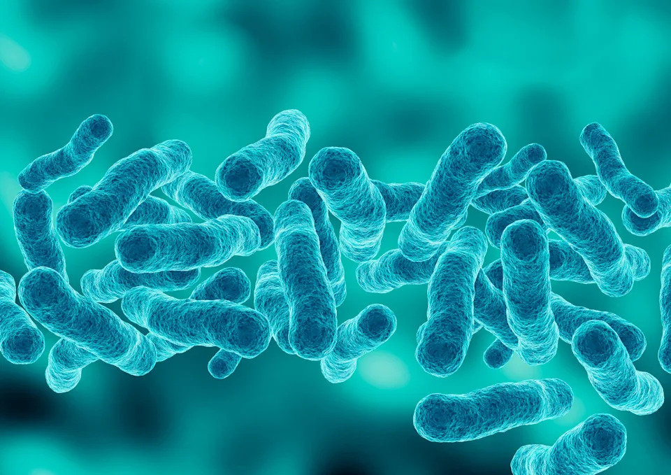 An obscure disease keeps spreading through air conditioning