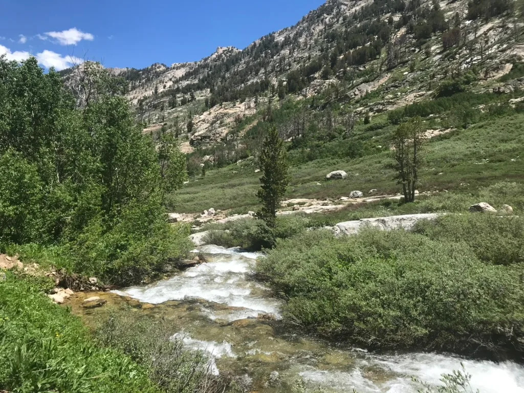 Nevada wildfires will result in more water quality challenges, study shows
