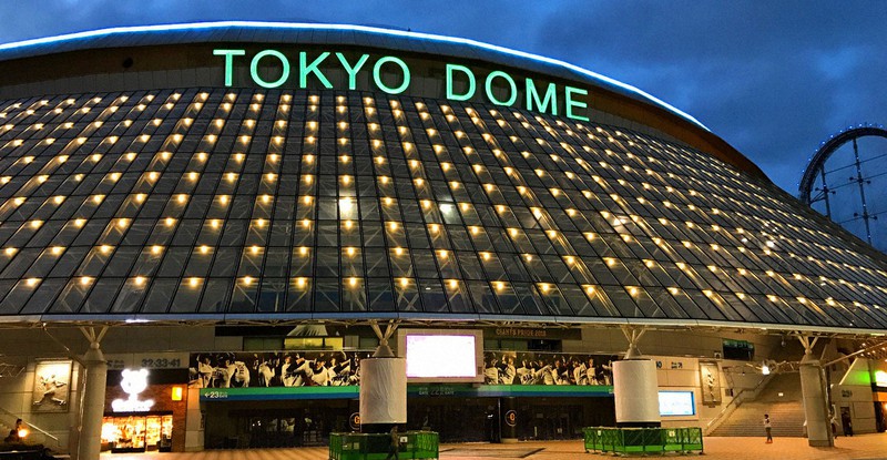 東京ドーム＝東京都文京区で