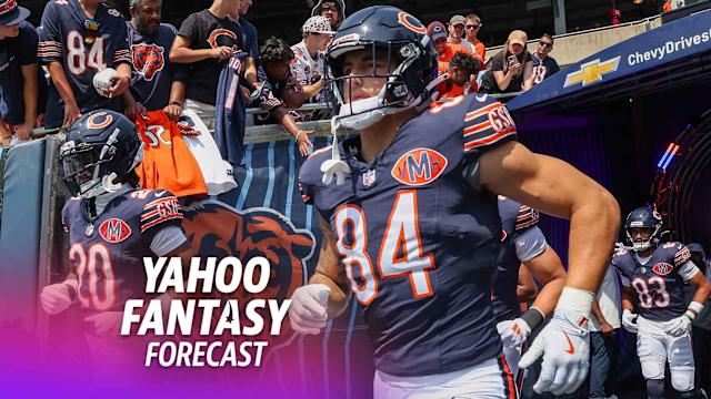 2025 Fantasy Football Rankings: Top tight ends for Full PPR
