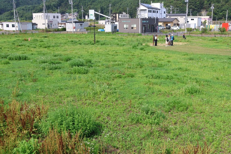町職員の遺族らの手で伝承碑が建立されることになった震災当時の役場跡地。草刈りは年3回程度実施されているという＝岩手県大槌町で2025年8月4日、奥田伸一撮影